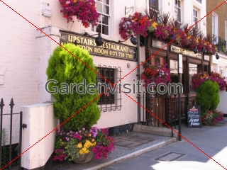 Chelsea Pub