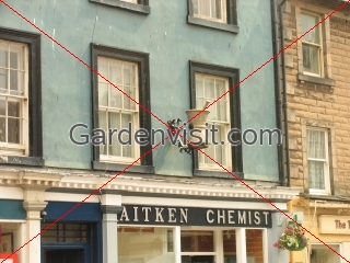 Chemist Shop