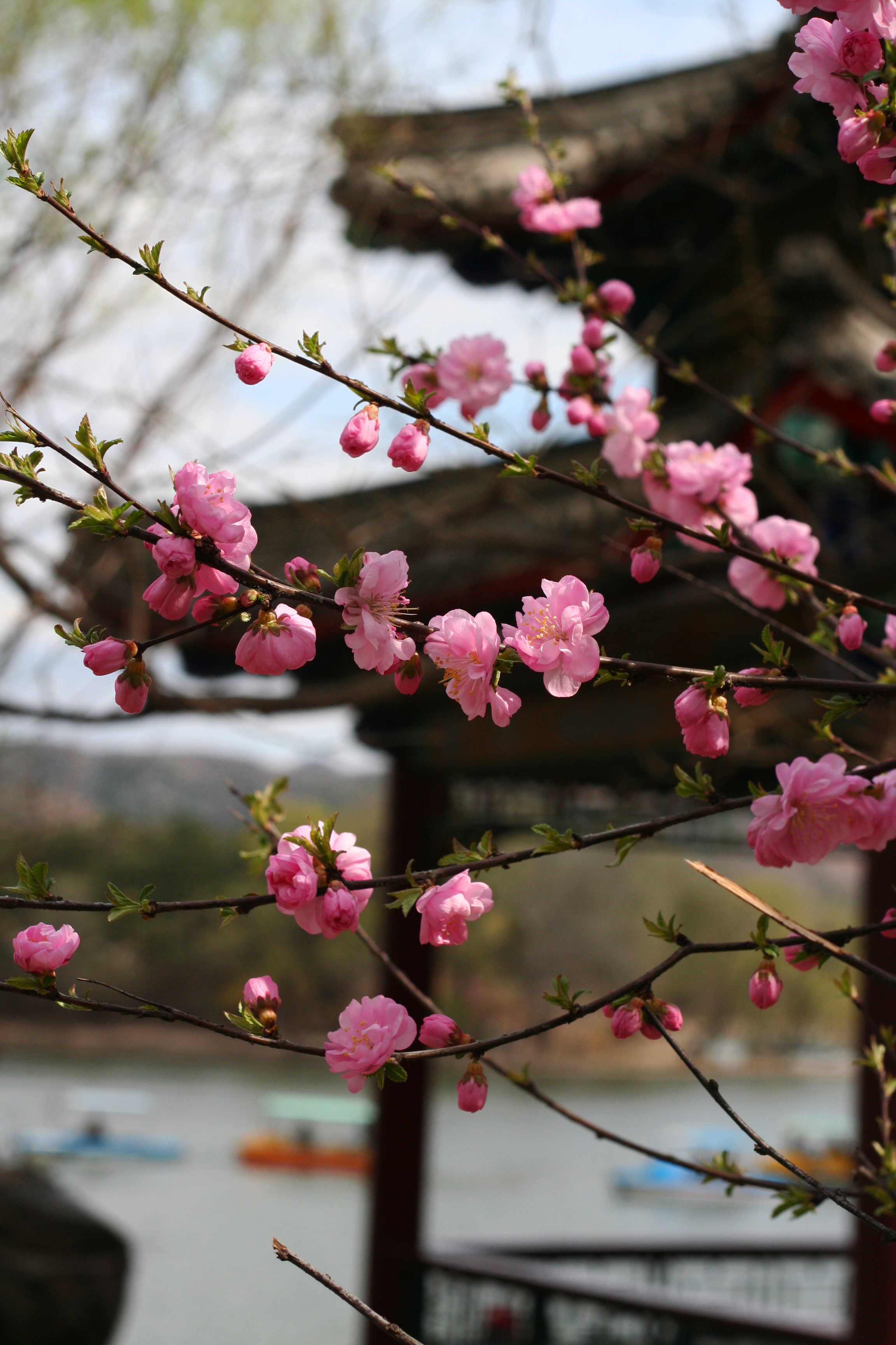 Chengde - Imperial Summer Mountain Resort for Escaping the Summer Heat Gardenvisit.com
