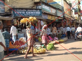 Chennai South Street