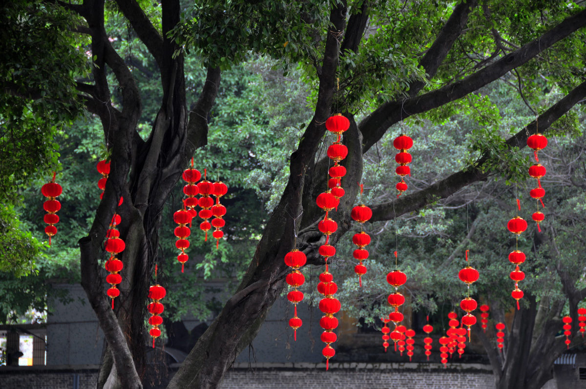 Chen's Ancestral Temple Roger Price