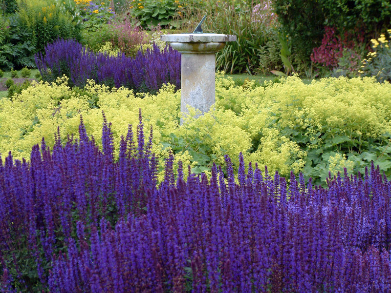 Chesters Walled Garden, Northumberland