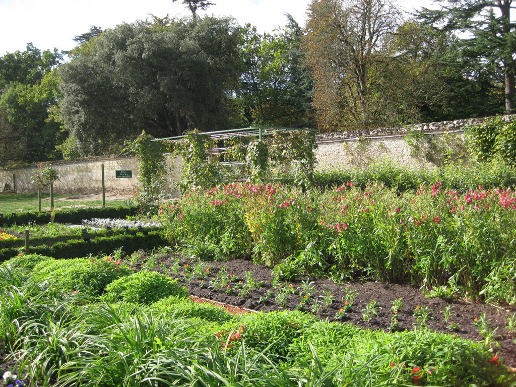 Chateau de Cheverny Garden