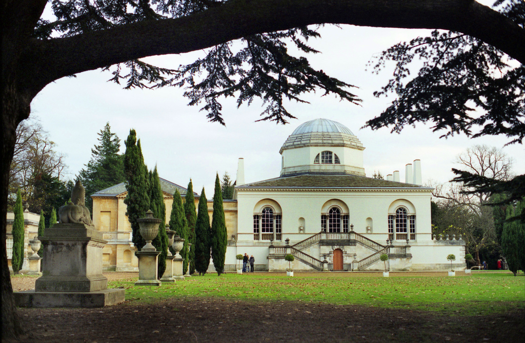 Chiswick House Garden Merlin