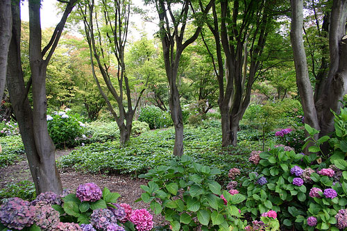 Christchurch Botanic Garden, New Zealand