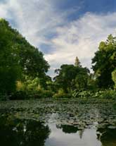 Water Garden, Christchurch Botanical Garden