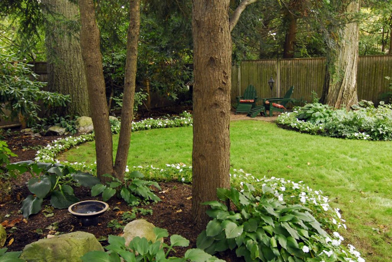 Back Yard Landscaping Ideas