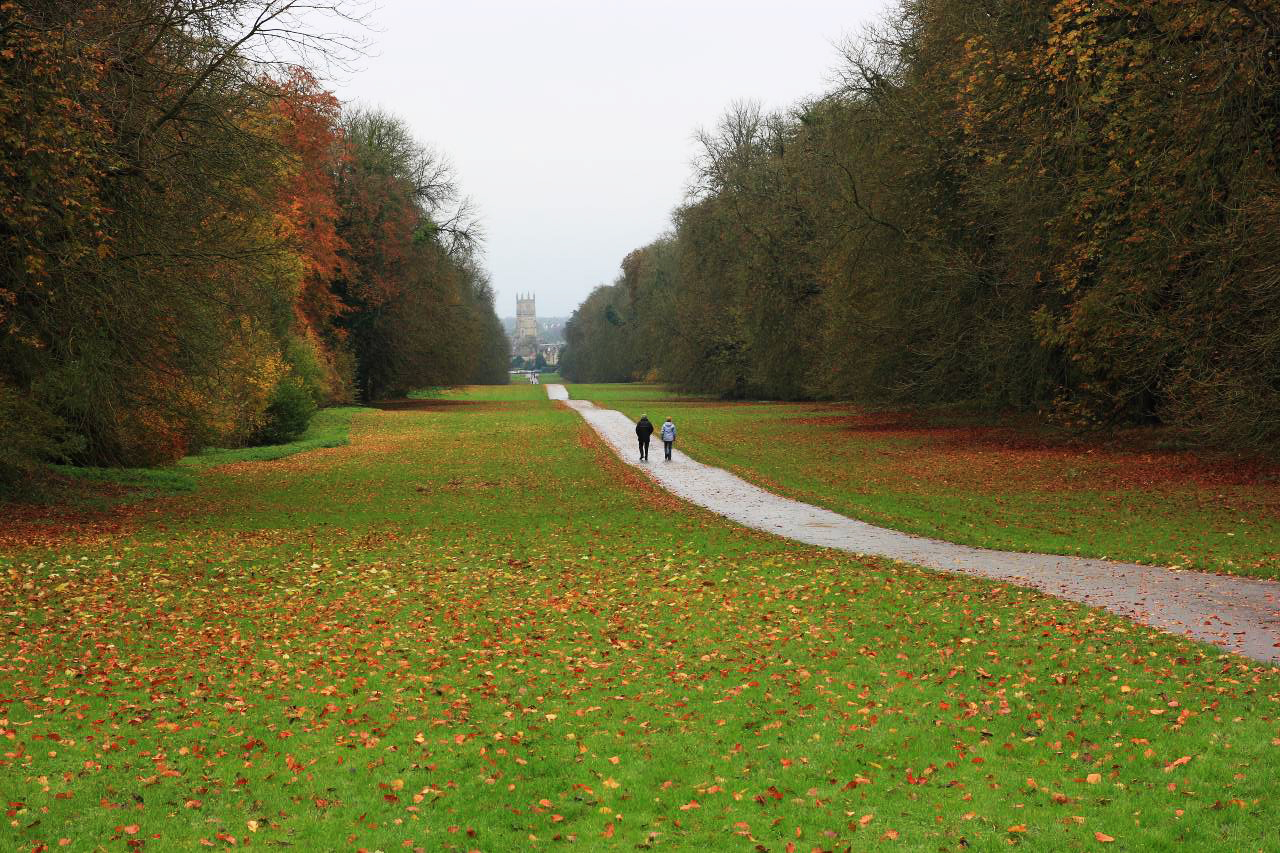 Cirencester Park Will Stubbs