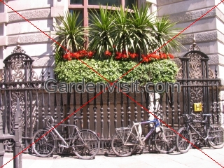 City Bicycles