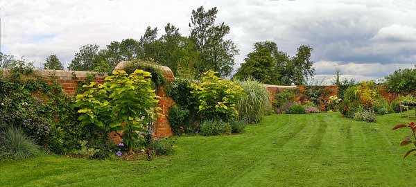 The Walled Garden Clematis Nursery