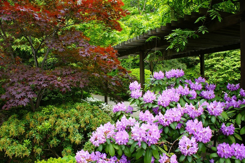 Cleveland Botanic Garden