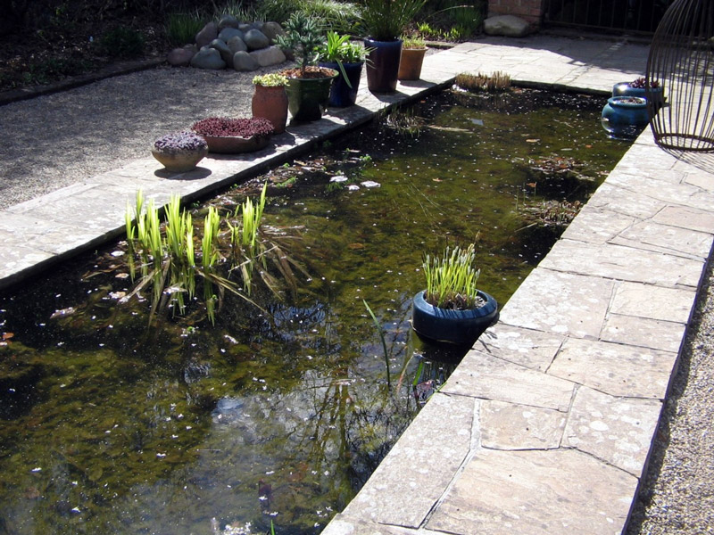 Pond, Cloudehill Gardens