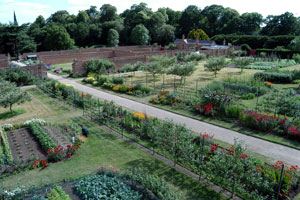 Clumber park