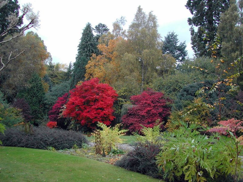 Cluny House Garden
