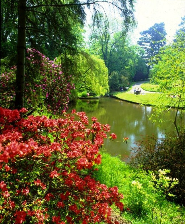 Clyne Gardens, Swansea