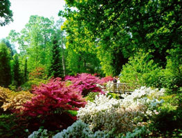 Clynegardens wales