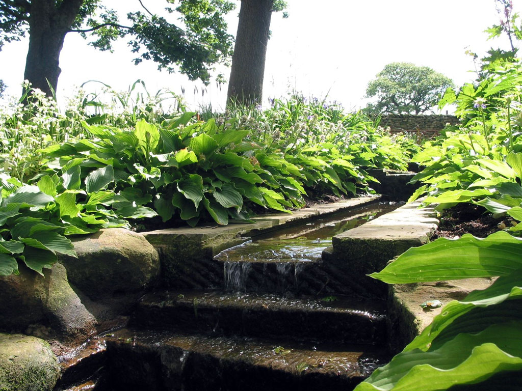 Hostas, Cobble Hey Farm & Gardens