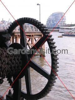 Cog Wheel London