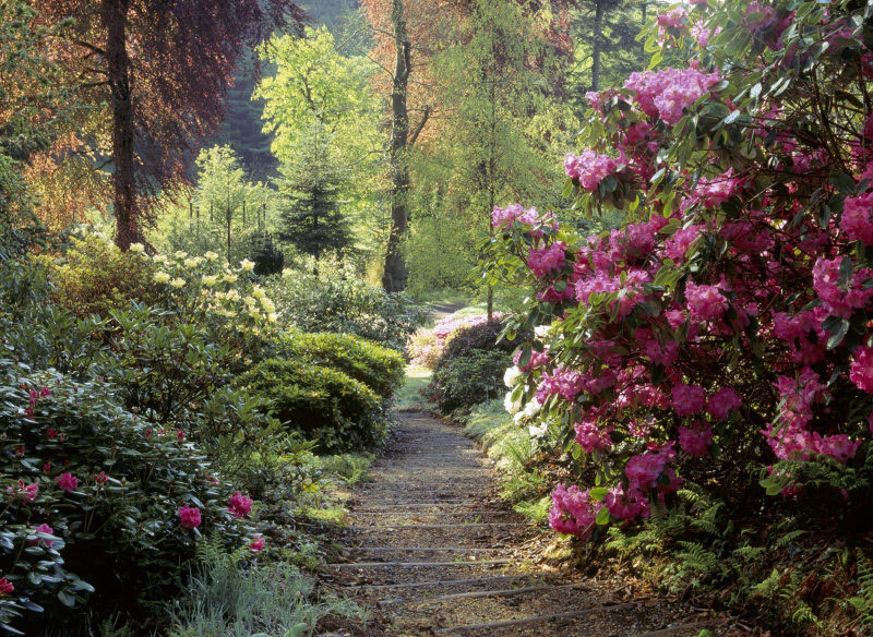 Colby Woodland Garden, Pembrokeshire