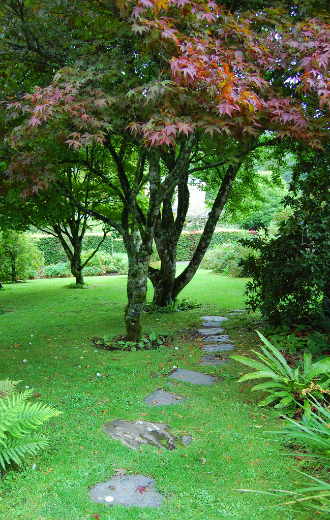 Colby Woodland Garden Tim Hodson