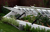 Cold Frame