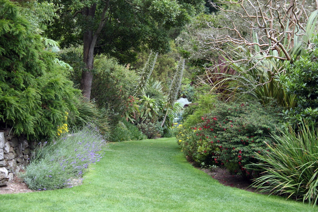 Coleton Fishacre Garden, Summer 2008