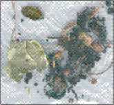 collage