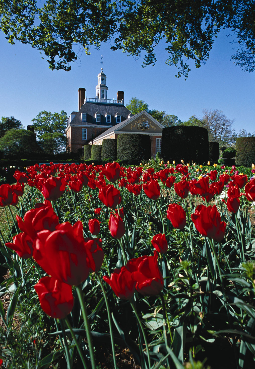 Governor's Palace, Colonial Williamsburg Gardens