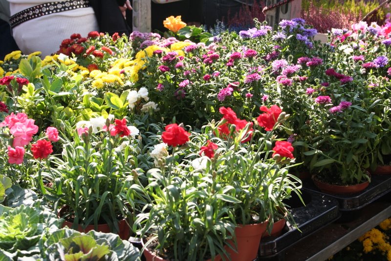 Columbia Road Flower Market London