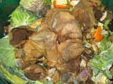 Material to be composted