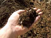 Composter output