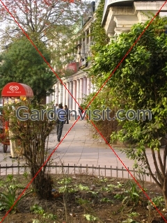 Connaught Place