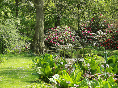Constable Burton Hall Garden