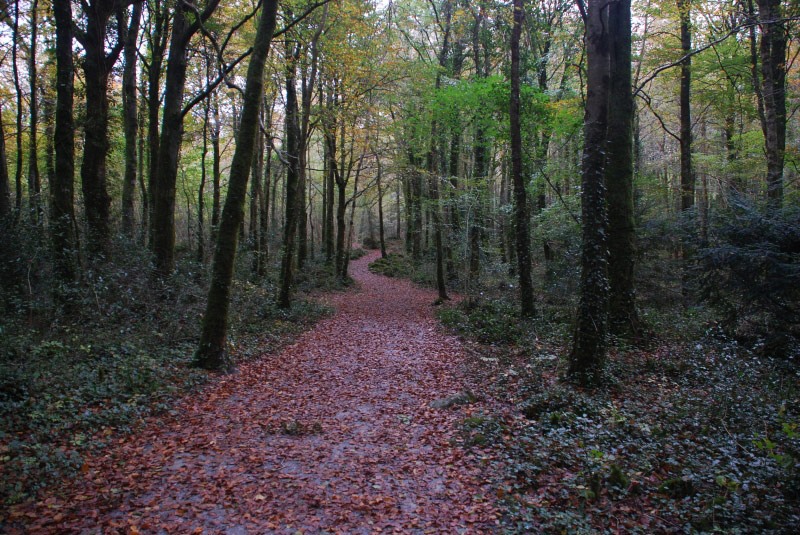 Coole Park, Ireland