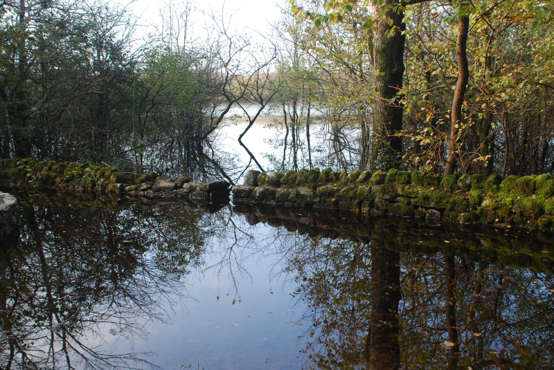 Turlough, Coole Park