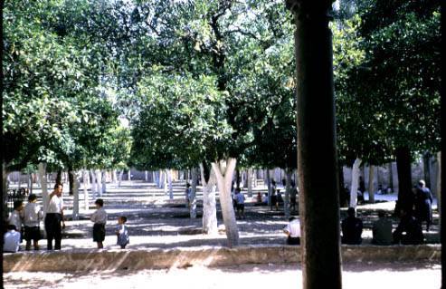 Cordoba