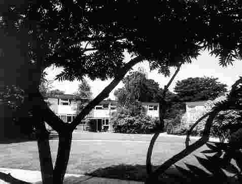 Corner Green