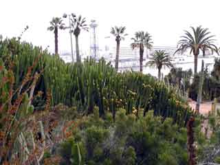 Costa i llobera garden
