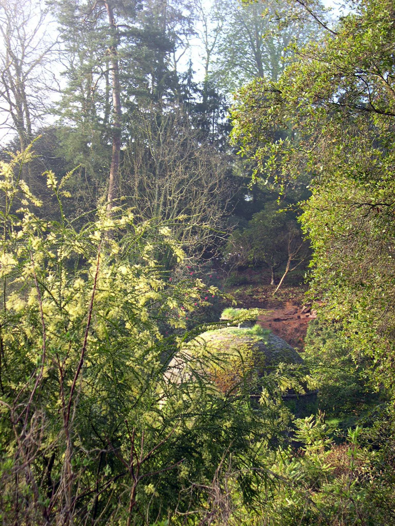 Dovecote, Cotehele Garden