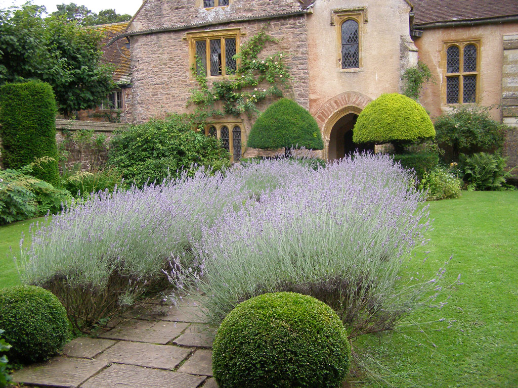 Cothay, Somerset