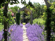 Cotswold Gardens