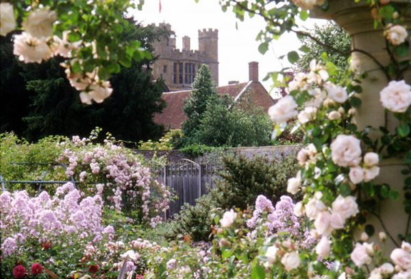 Rose Labyrinth, Coughton Court
