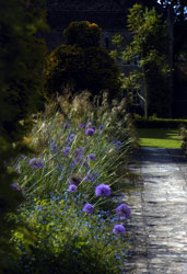 Courtsgarden stipabeds