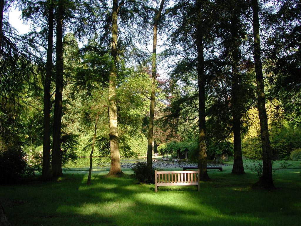 Bench, Coverwood Lakes & Gardens