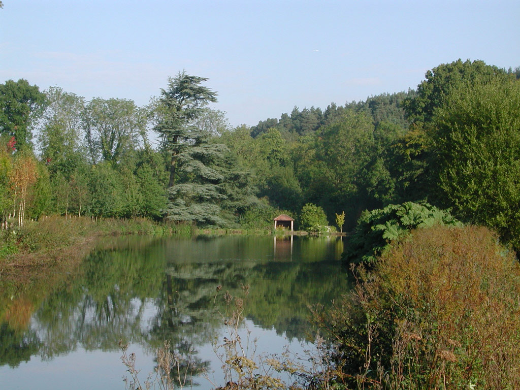 Coverwood Lakes & Gardens, Surrey