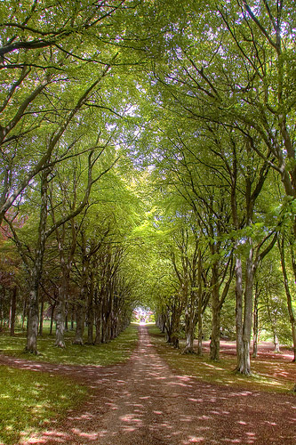 Cranborne Manor Garden, Dorset