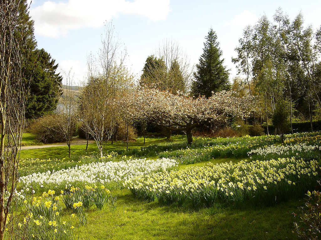 Crarae Garden Allan Ogg