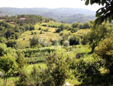 Croatian countryside