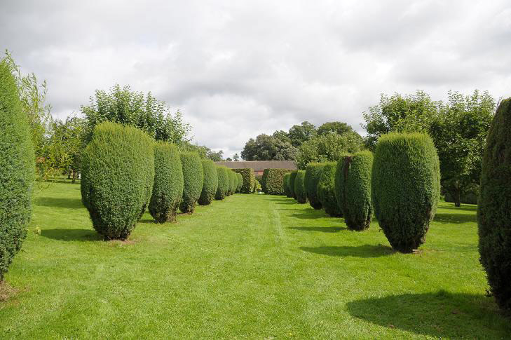 Hedges, Croft Castle Garden