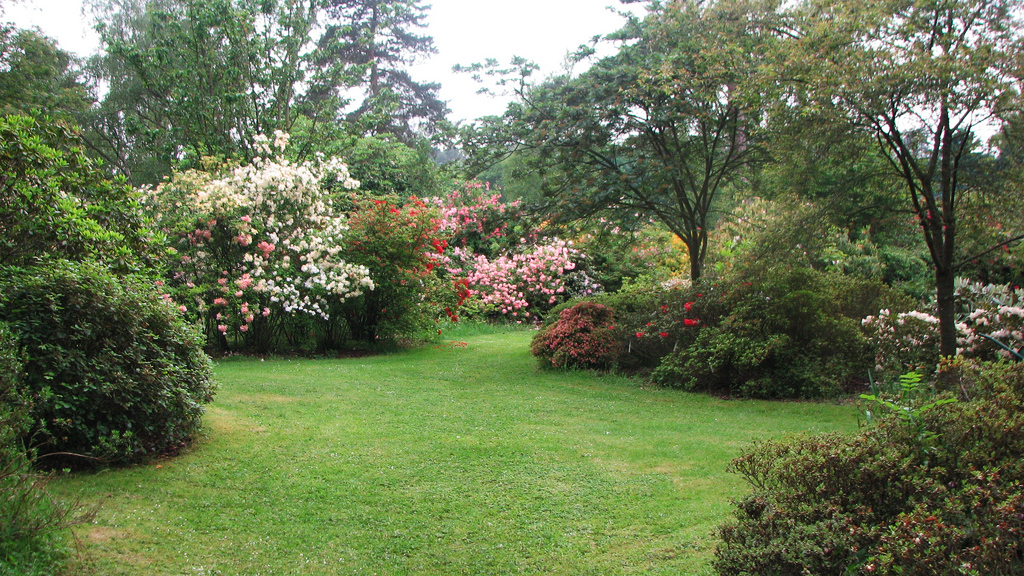 Crosswater Farm Garden Sea Breezes